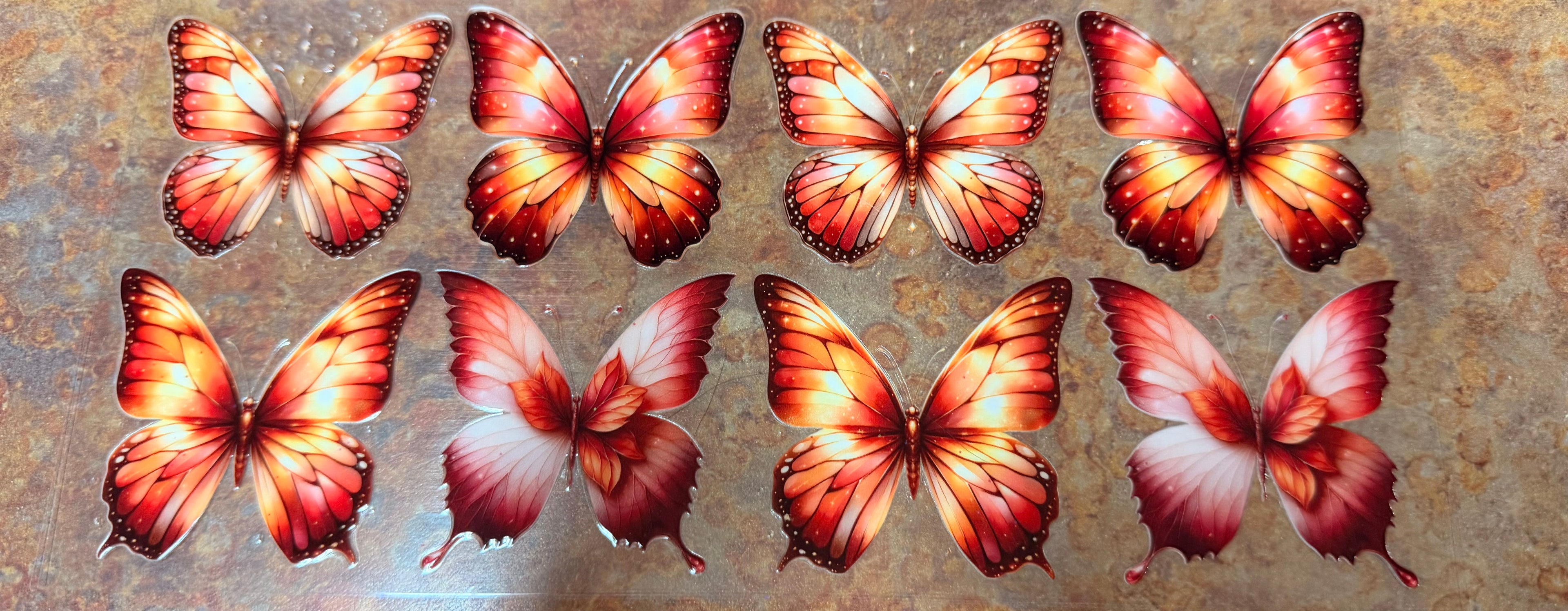 Butterflies - orange