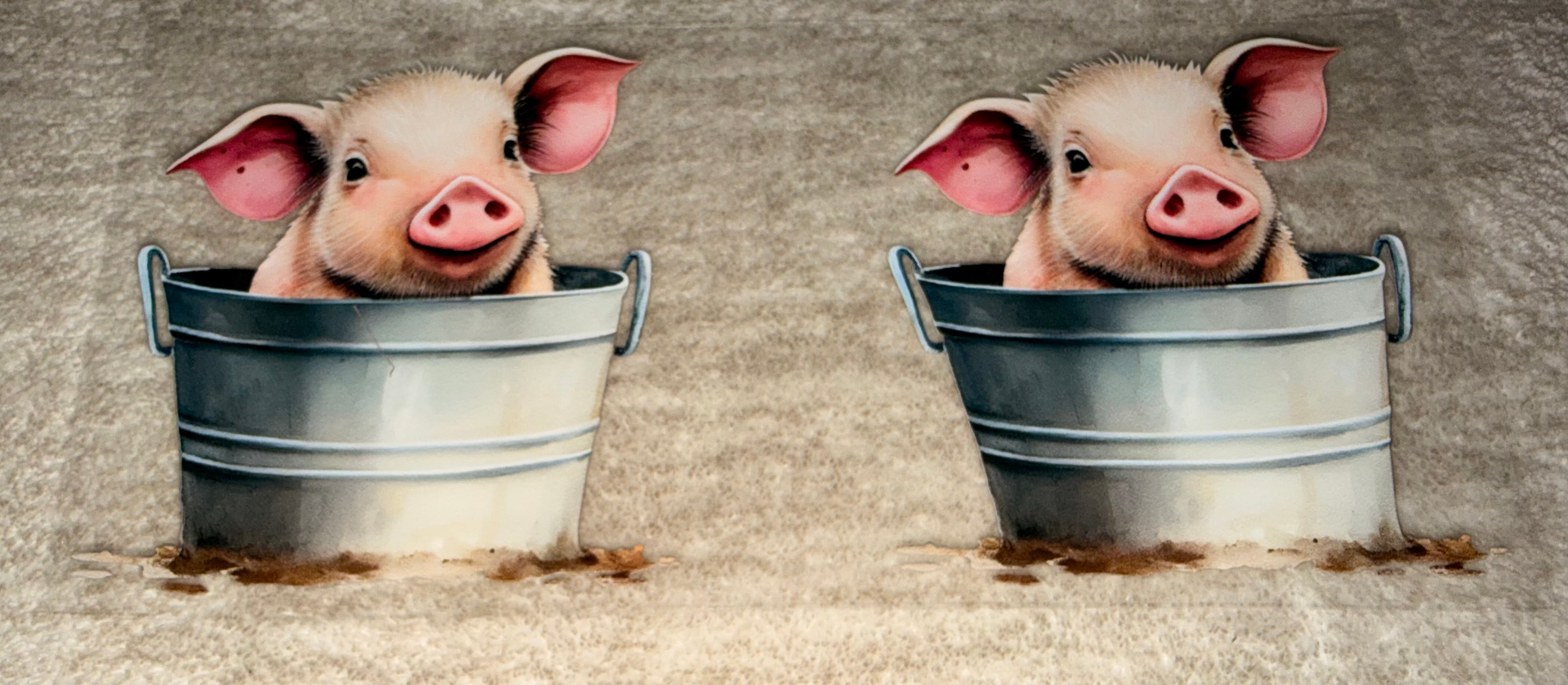 Pig in bucket