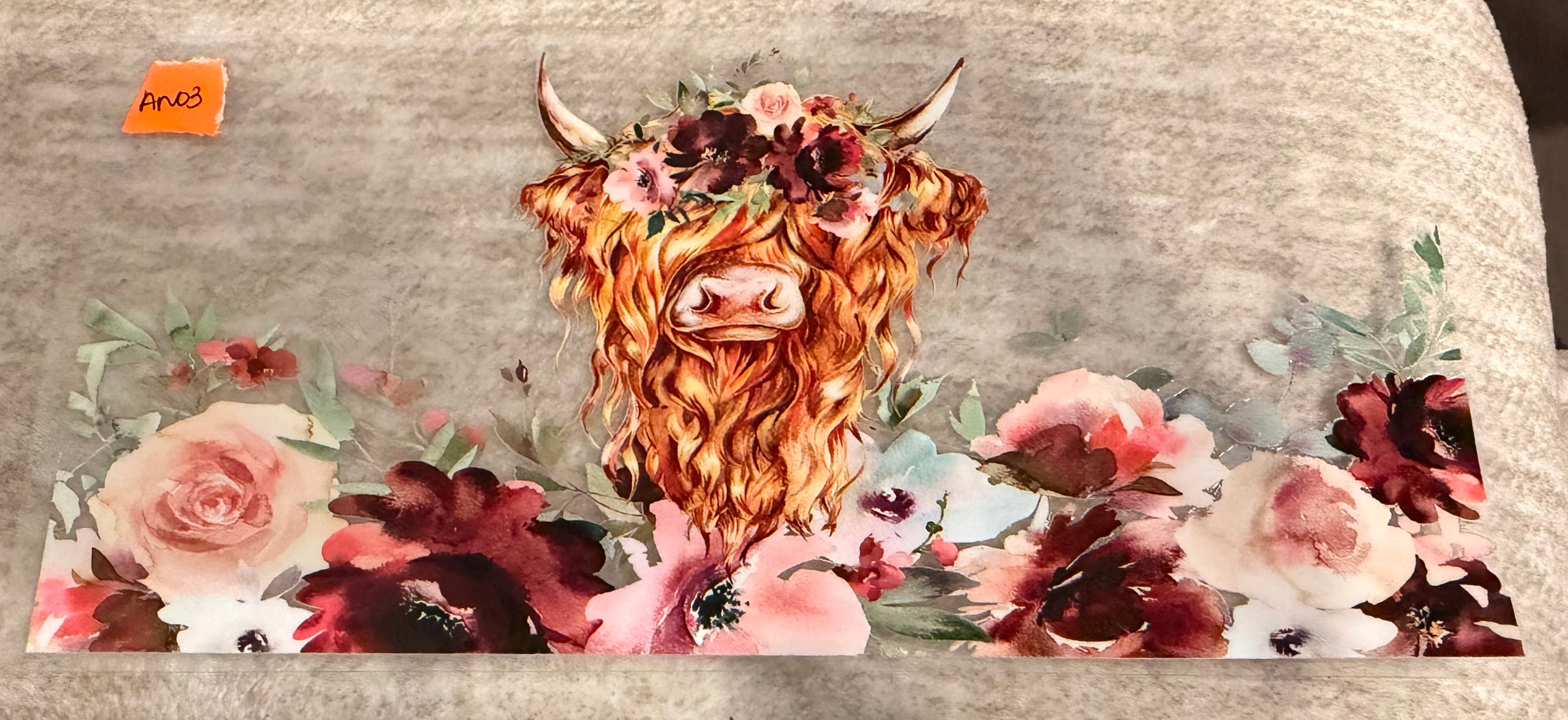 Highland Cow x Flowers