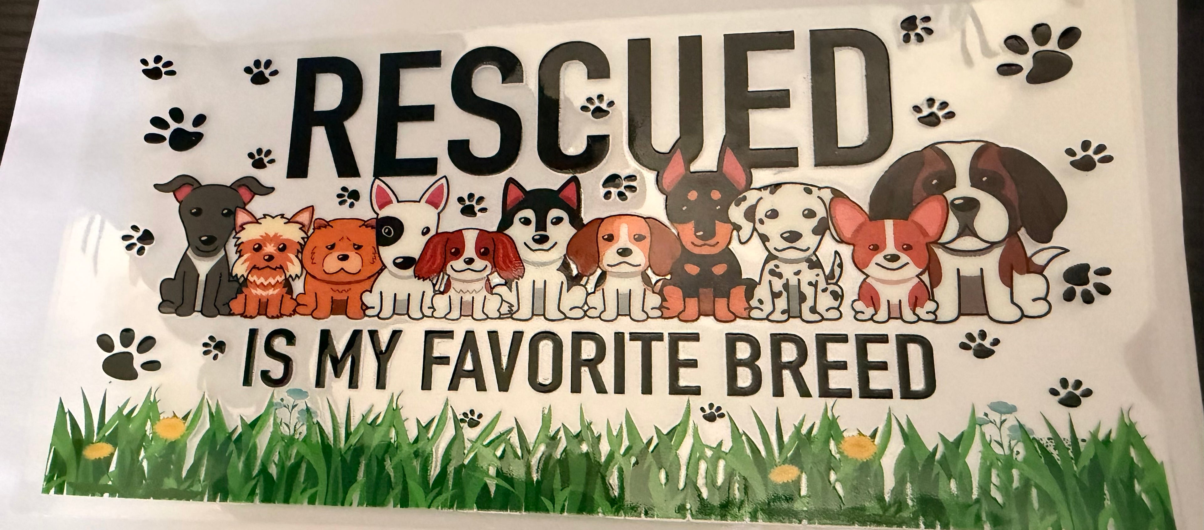 Rescued