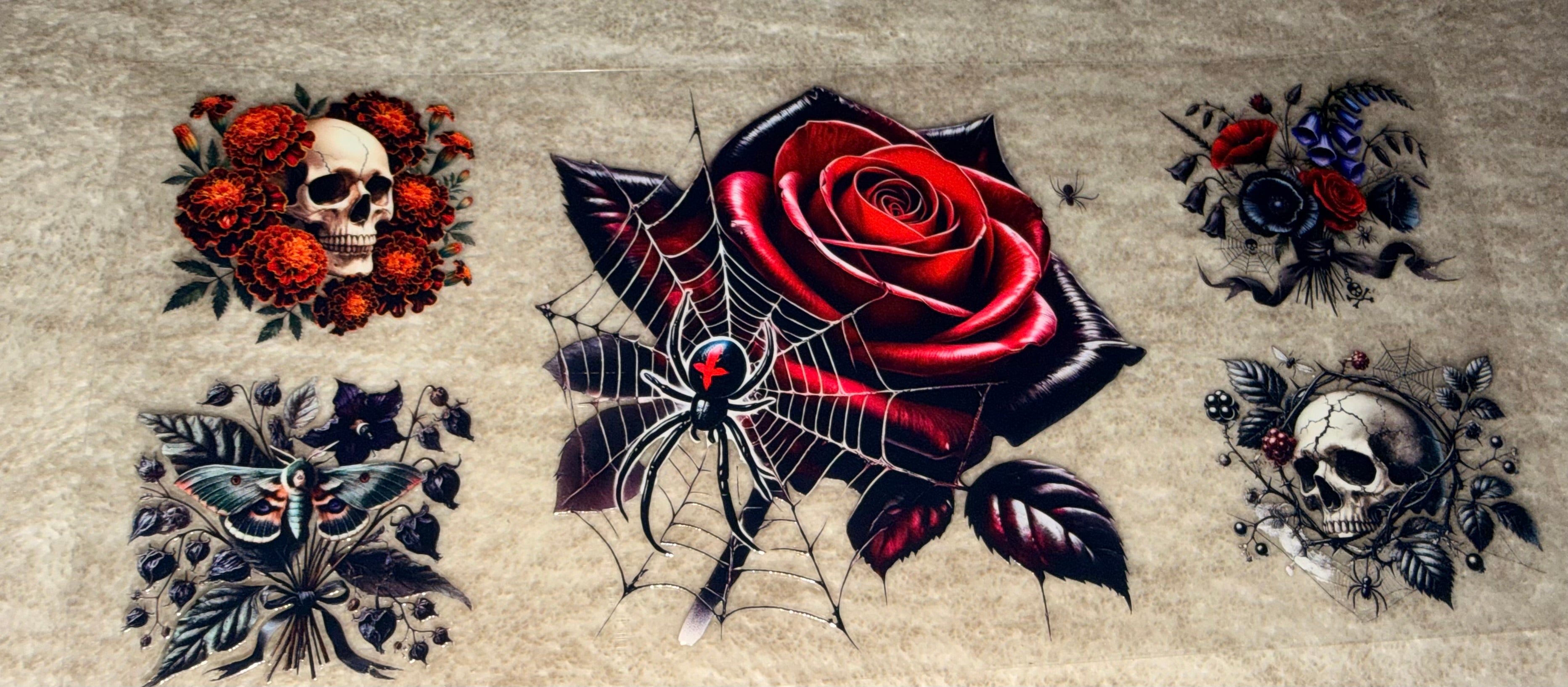 Rose - Spider