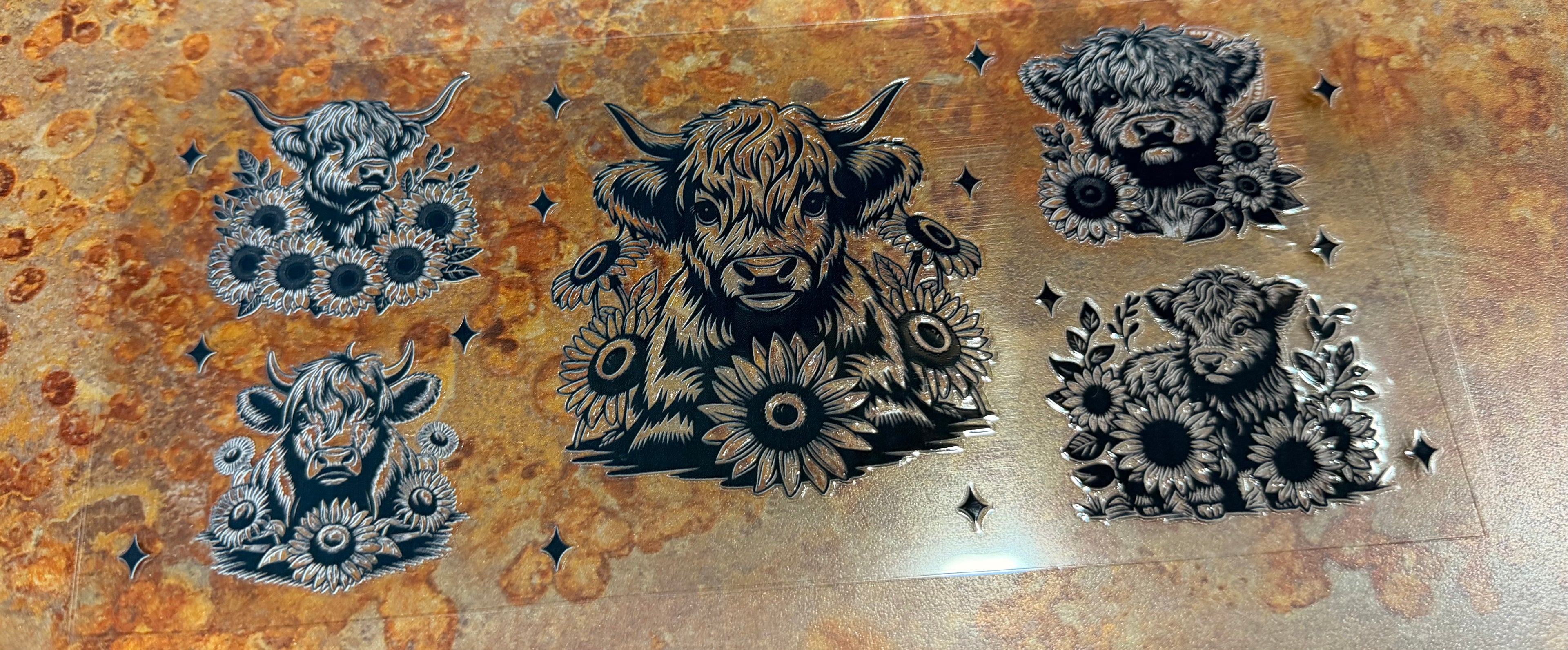 Highland cow