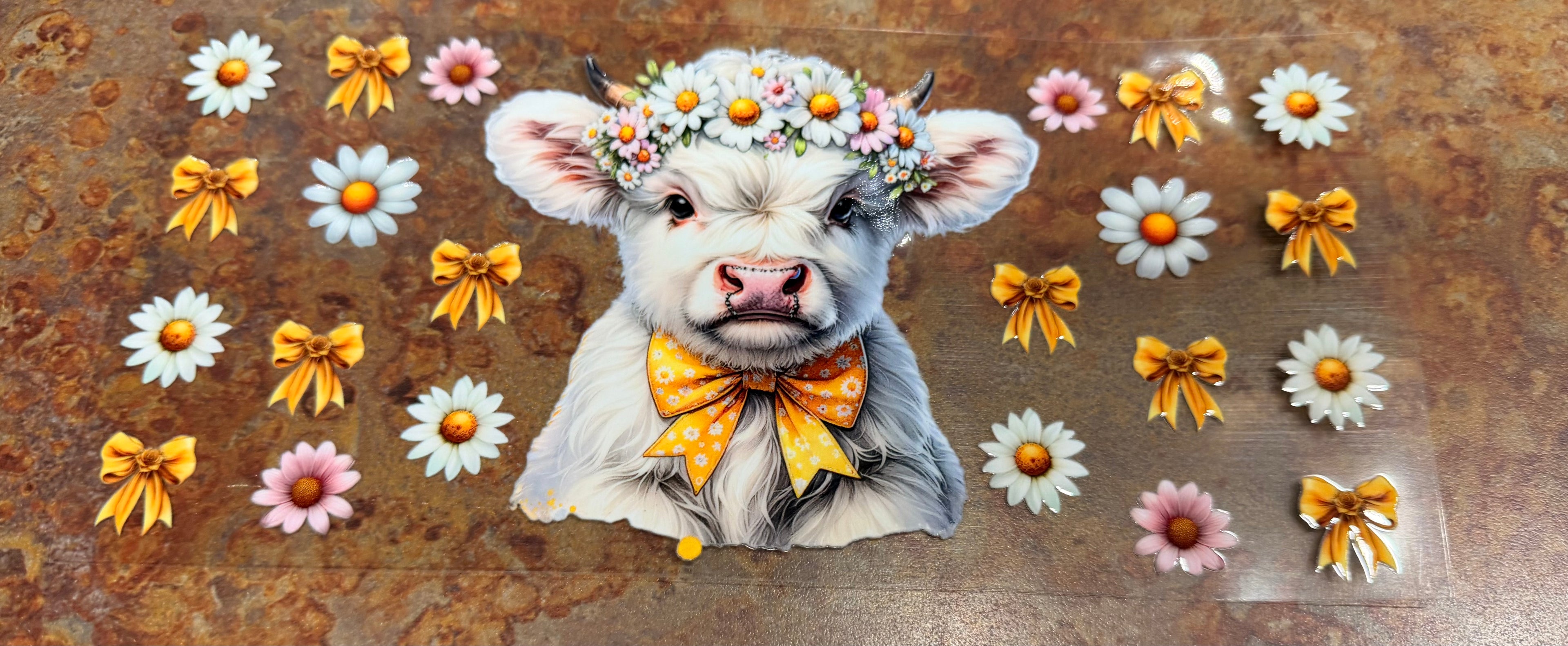 Highland cow
