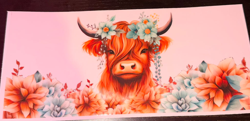 Highland Cows