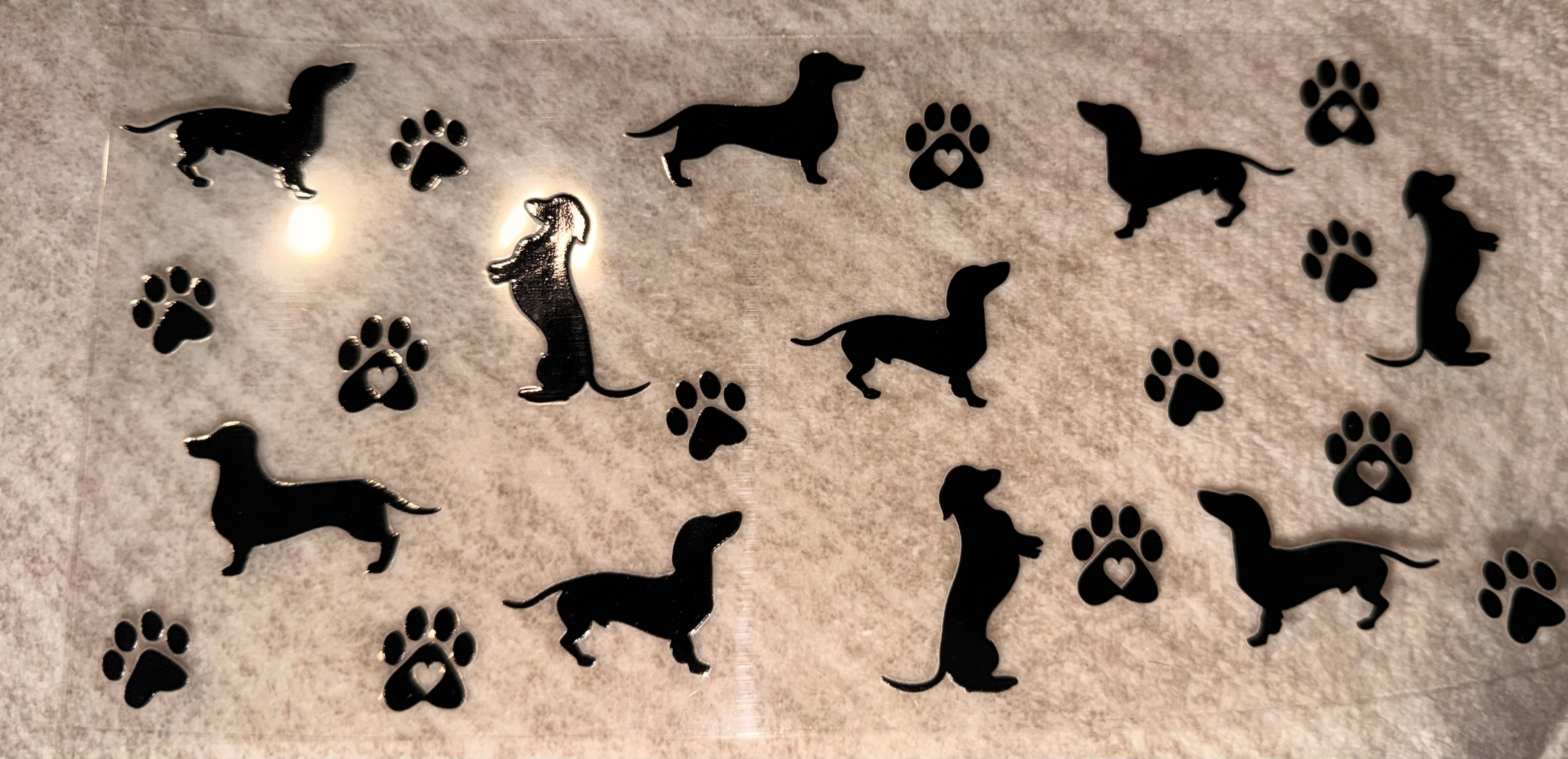 Dachshund