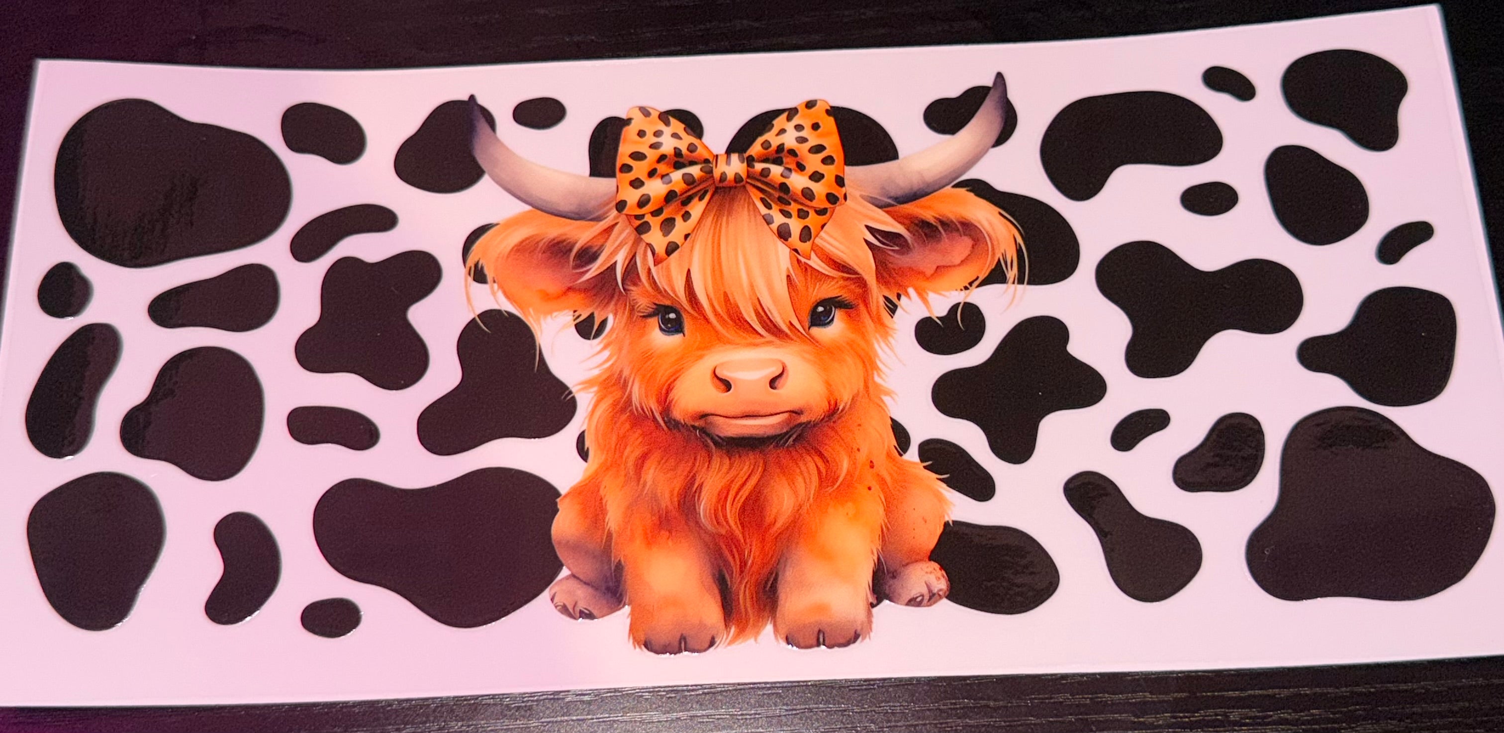 Highland Cows