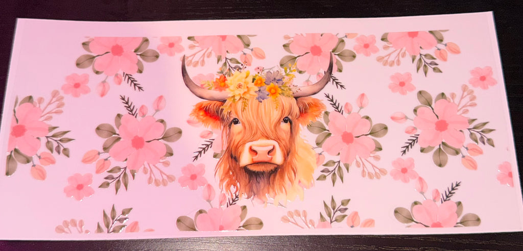 Highland Cows